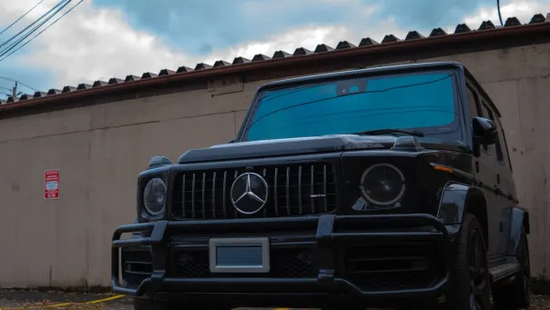 Casino Dom Game Aip Android/iOS